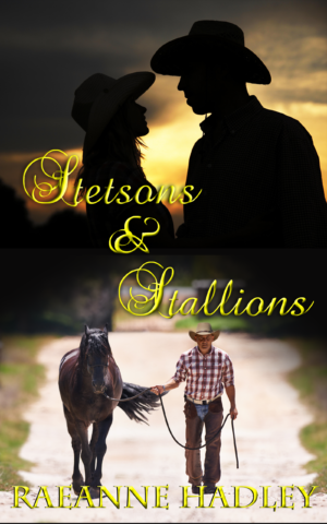 Stetsons & Stallions epub